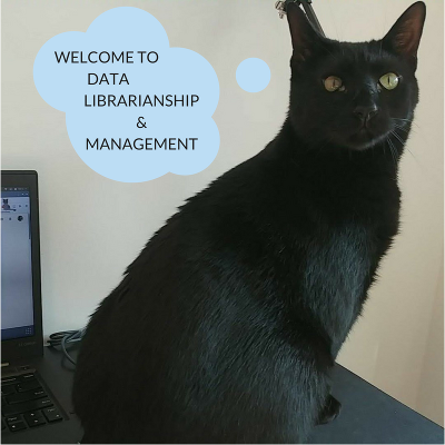 black cat looking at the camera with a speech bubble that says 'welcome to data librarianship and management' in it